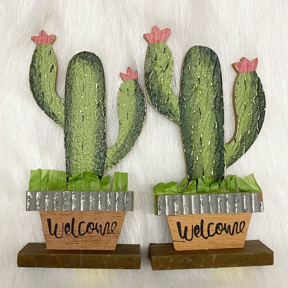 Cactus Decor - Picture 3 of 5